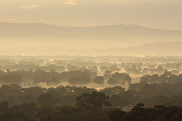 Ovens Valley morning mist